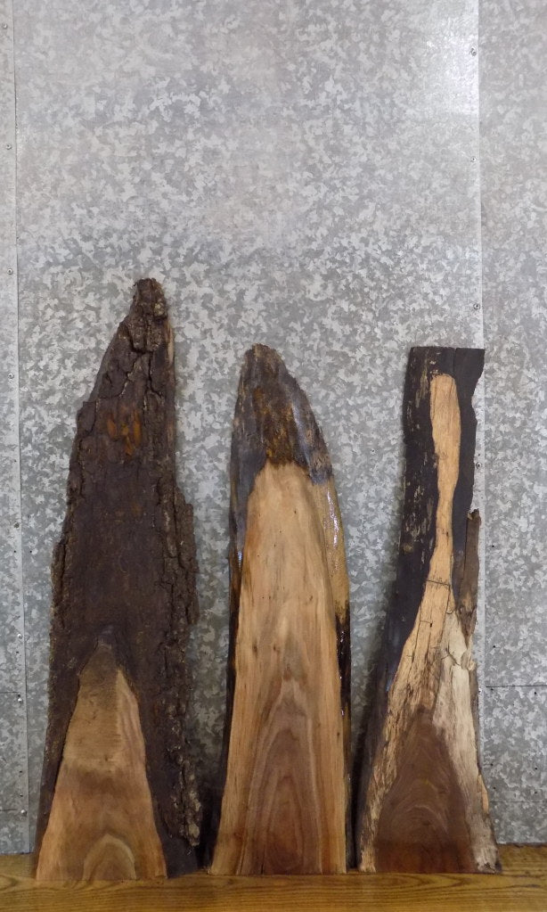 3- Live Edge Black Walnut DIY Charcuterie Boards/Craft Pack 1534-1536