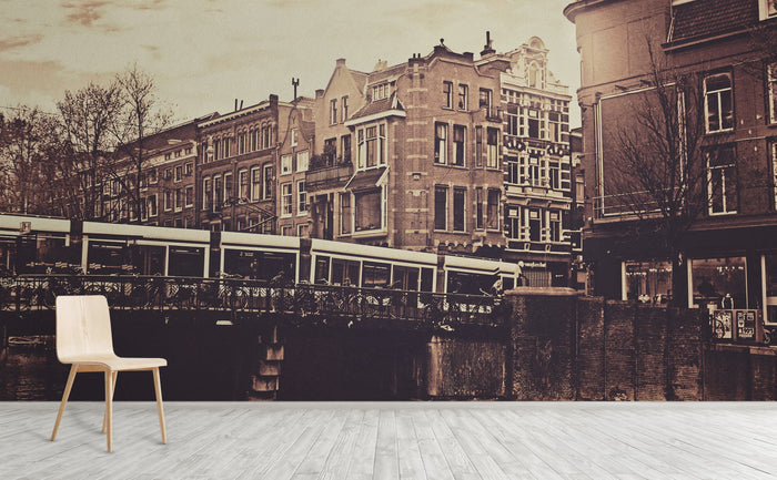 Amsterdam Wall Mural by Walls Need Love•_¨
