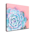 'Awaken No. 1'  Succulent Wall Art