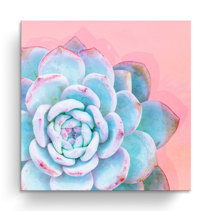 'Awaken No. 1'  Succulent Wall Art