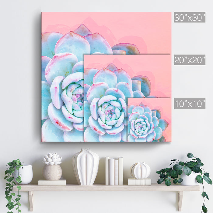 'Awaken No. 1'  Succulent Wall Art