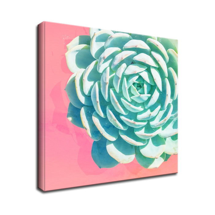 'Awaken No. 2'  Succulent Wall Art