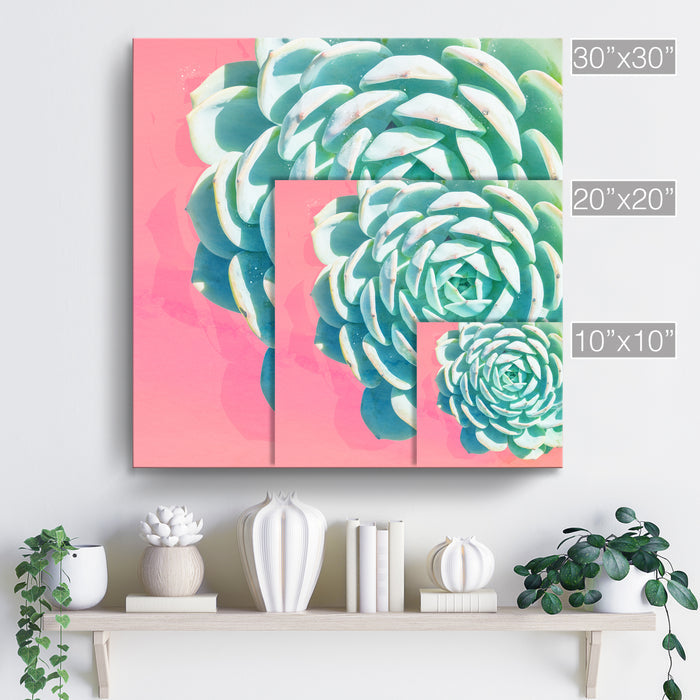 'Awaken No. 2'  Succulent Wall Art