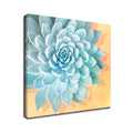 'Awaken No. 3'  Succulent Wall Art