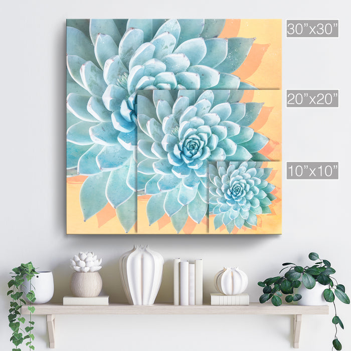 'Awaken No. 3'  Succulent Wall Art