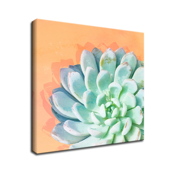 'Awaken No. 4'  Succulent Wall Art