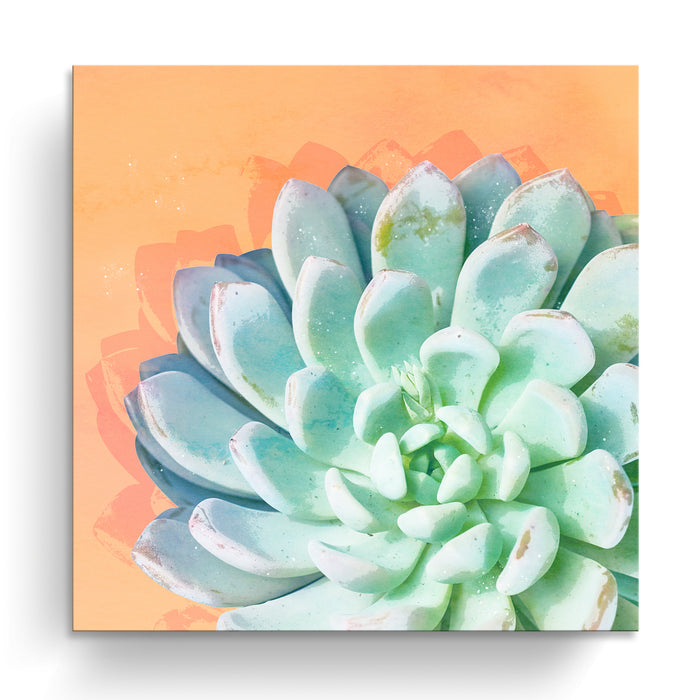 'Awaken No. 4'  Succulent Wall Art