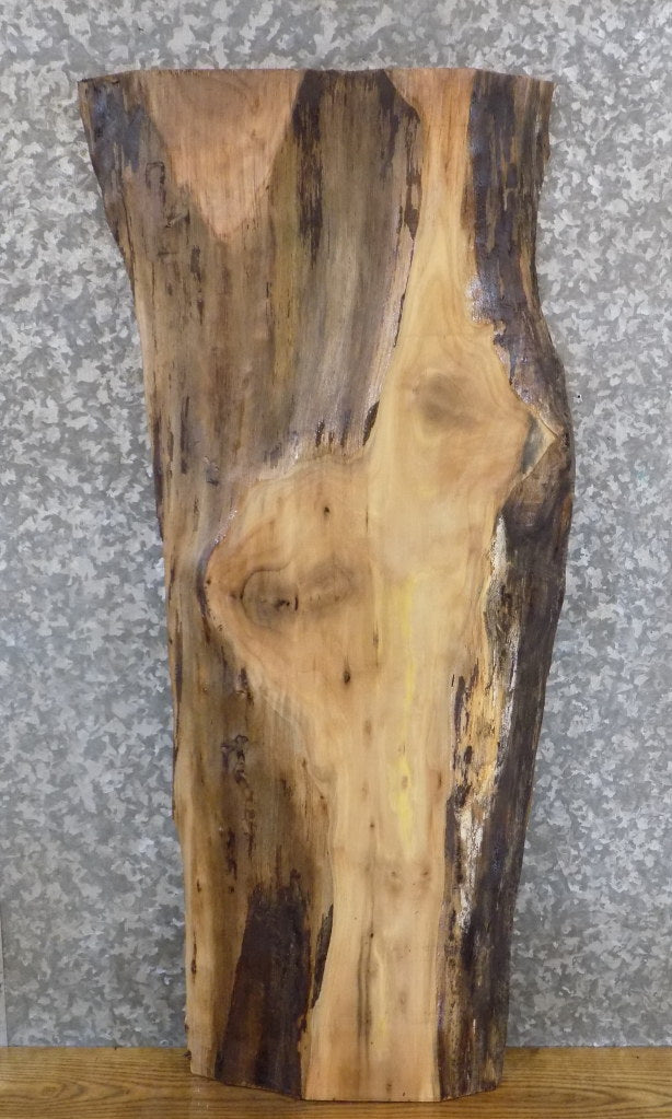 Black Walnut Live Edge Rustic Coffee/Side Table Top Slab 1198