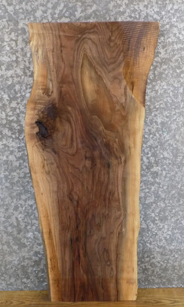 Black Walnut Live Edge Rustic Coffee/Side Table Top Slab 1198