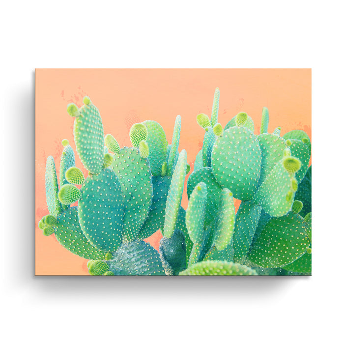 'Cacti Dream'  Succulent Wall Art