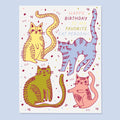 Cat Person