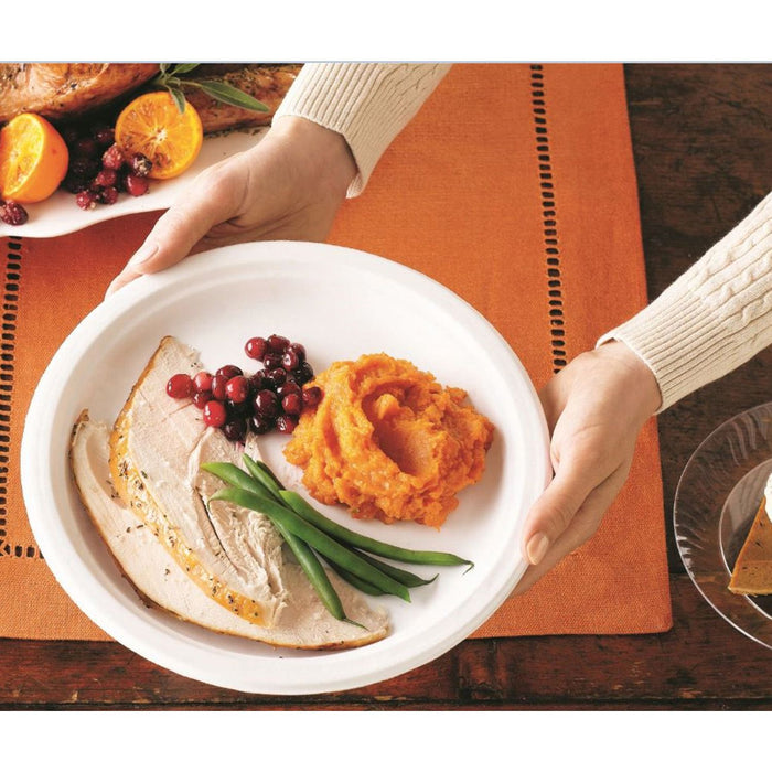 Chinet Classic White 10-3/8" Dinner Plates (165 ct.)