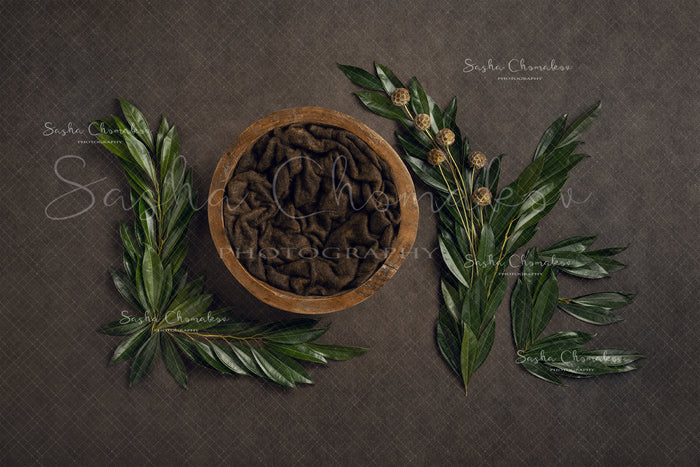 Digital Backdrop