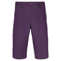 Flylow Men's Animal 13.5 Short 2024 Berry
