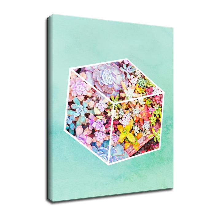 'Garden Cube'  Succulent Wall Art