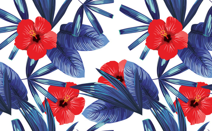 Hibiscus | Wallpaper