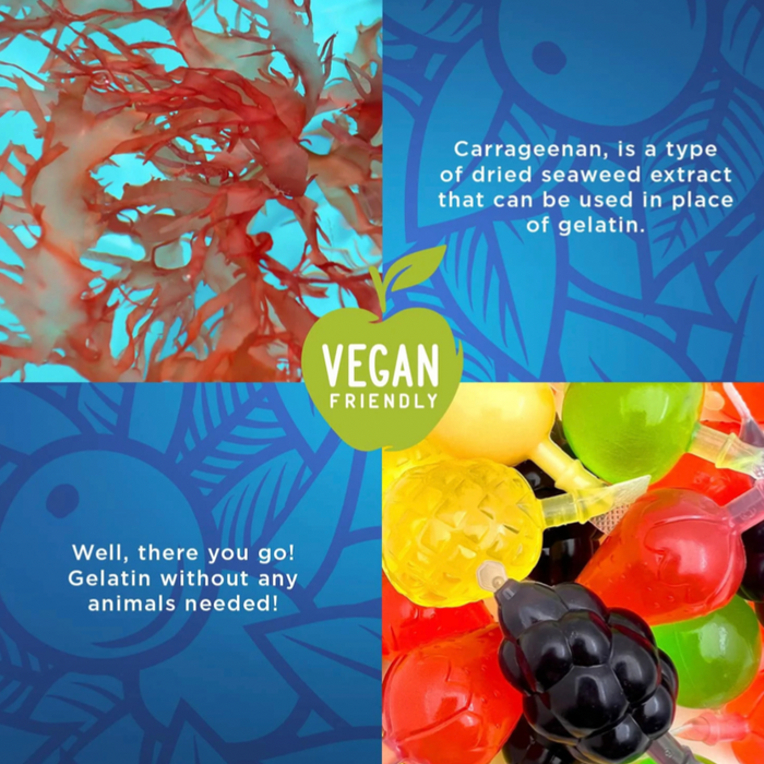 Jelly Fruit, Assorted Flavors Squeezable Vegan-Friendly Candy - 12.69 oz.