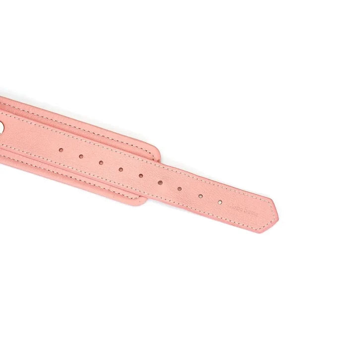 Pink Dream Collection Leather Collar with Leash - Restraints