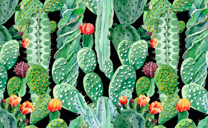 Prickly Party | Wallpaper