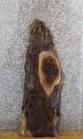 Rustic Live Edge Bark Black Walnut Coffee/Sofa Table Top Slab 1382