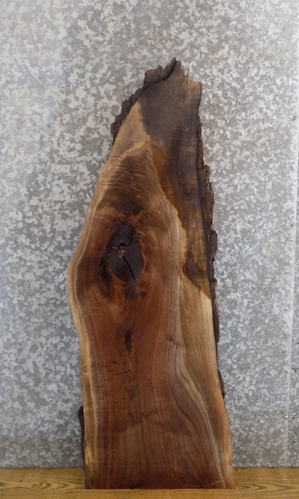 Rustic Live Edge Bark Black Walnut Coffee/Sofa Table Top Slab 1382