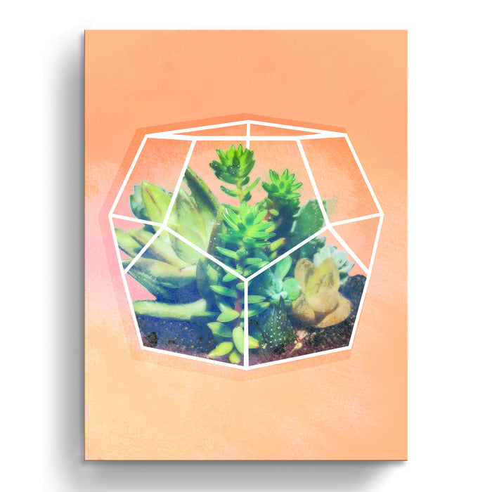 'Terrarium Orange'  Succulent Wall Art