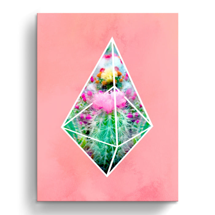 'Terrarium Pink'  Succulent Wall Art